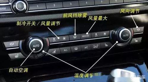今日必看网红大瓜图片视频,揭秘热门视频背后的惊人真相！