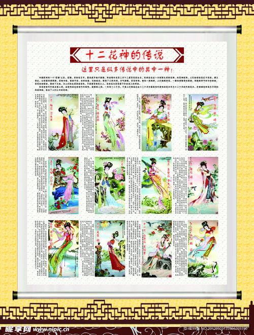 十二花神图片,探寻中国传统花卉文化的神秘魅力