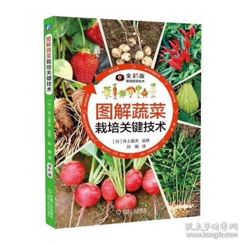 红叶菜图片,秋日餐桌上的色彩盛宴