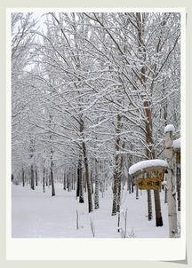 雪景简笔画图片大全,一幅幅简约而唯美的艺术画卷