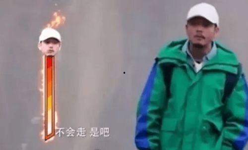 杨烁唱歌视频,歌声传递情感共鸣