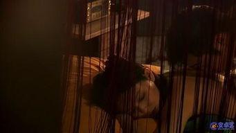 床戏 点,情感纠葛与人性探索的舞台