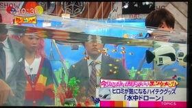 日本综艺收视率,盘点热门节目，揭秘观众心选