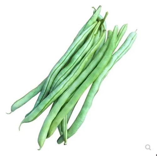 无筋豆图片,绿色营养的餐桌佳品