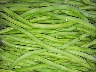 无筋豆图片,绿色营养的餐桌佳品