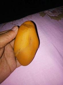 最好的黄龙玉图片大全,图片大全中的珍品赏析