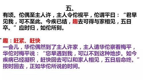 文言文视频,文言文视频精华解读