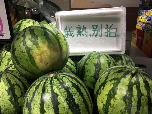 国语西瓜,夏日消暑佳品，品味传统与创新的交融
