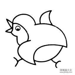 小孩子的鸡图片大全,可爱小鸡图片集锦