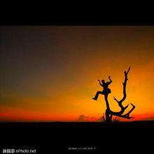 原来图片,原来图片的精彩概述