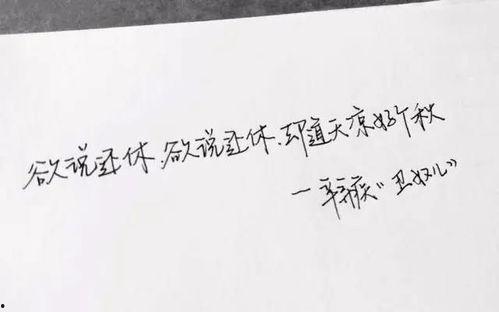 手写文字图片大全,探寻千姿百态的书法艺术