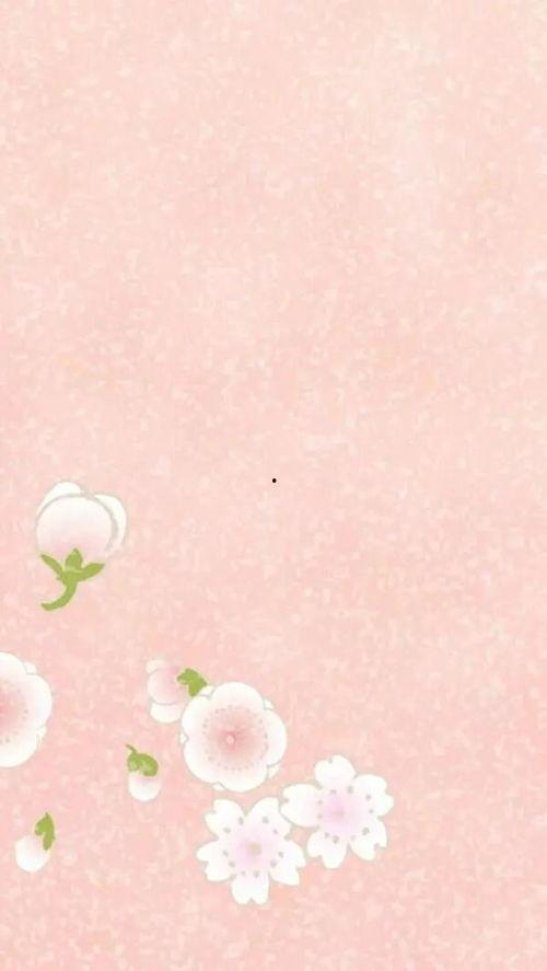 手机清新壁纸图片大全,手机壁纸图片大全精选