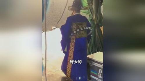 血溅海滩在线观看剧风,生死较量，复仇之路