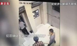 杀人案视频,杀人案背后惊心动魄的真相