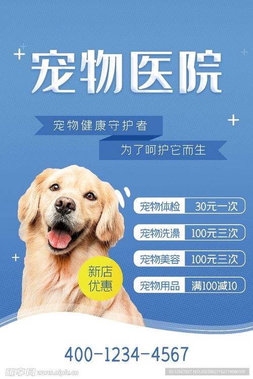宠物医院图片,温馨呵护，守护萌宠健康乐园