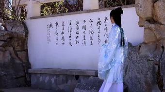 花香在线观看,在线体验花艺之美
