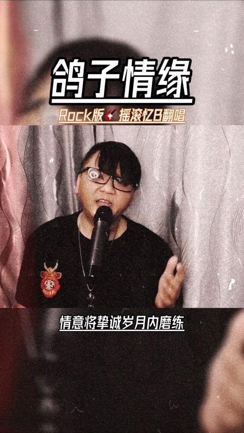 鸽子情缘国语版,跨越时空的真挚爱情