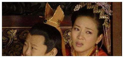 为了皇帝 在线观看,揭秘宫廷权谋与家国情怀