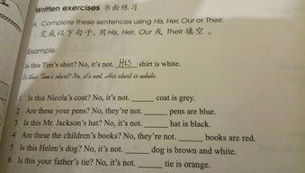 clicli哪国语言,探索全球语言魅力之旅