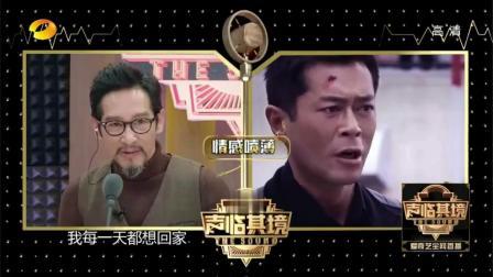 免费观看扫毒国语,揭秘毒品背后的惊心动魄