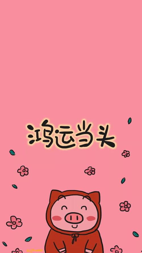 顺利图片