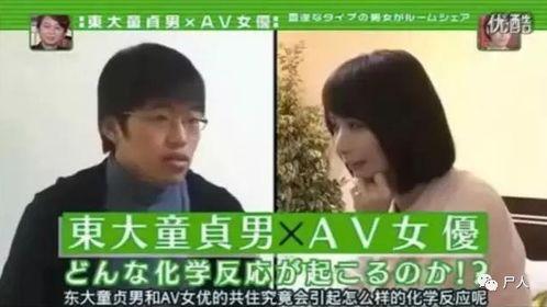 日本综艺下载网站,热门节目一网打尽