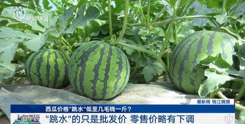 91黑料吃瓜网热点大瓜