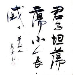 君子坦荡荡图片大全,图片中的高尚品格与宽广胸怀