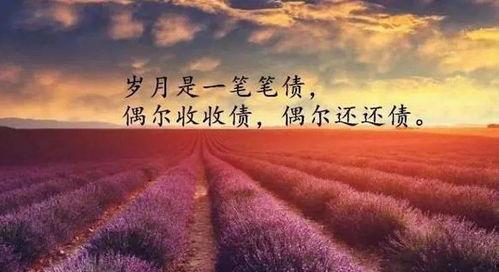感慨图片大全带字图片,带字图片中的情感共鸣