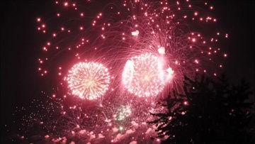 绽放视频,视频中的光影故事