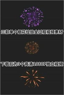 绽放视频,视频中的光影故事