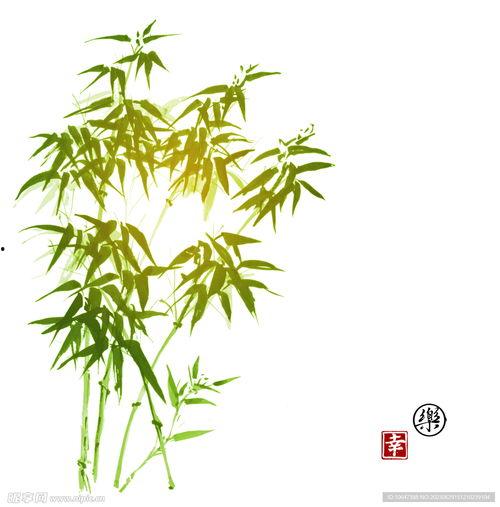 竹叶图片大全,自然之美尽收眼底