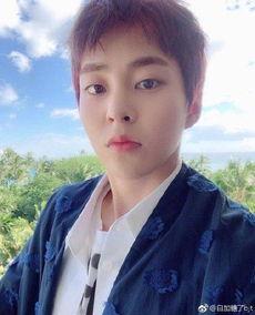 xiumin在韩国的地位,在韩国娱乐圈的璀璨星光与深远影响力