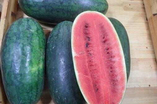 今日黑瓜吃料价格表,今日食材行情一览”