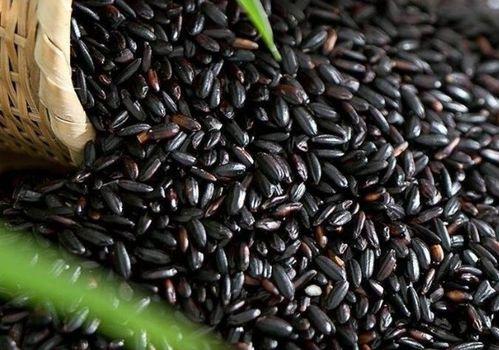 黑麻瓜可以吃吗怎么吃好吃,解锁独特口感与烹饪技巧