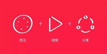 西瓜视频西瓜视频,探索短视频新潮流，畅享精彩内容盛宴