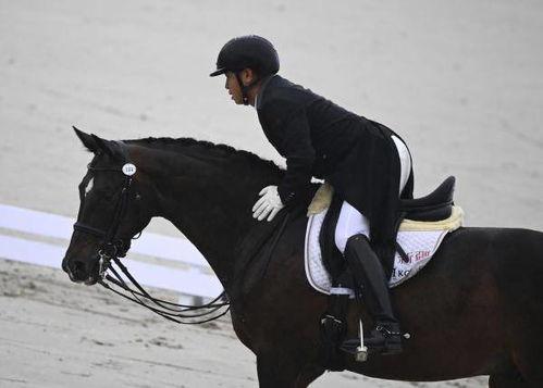 日本人马,马与人的和谐共生