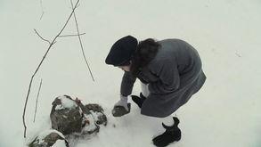 孤儿图片大全,温情与孤独的视觉交响