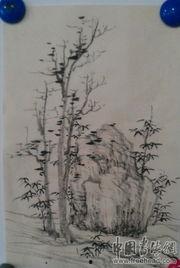 方严老师教学视频,解锁高效学习之道