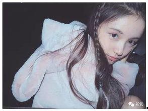 林小宅日本,探寻异国风情与文化交融