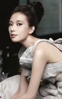 林志玲的阴陪图片大全,美丽瞬间尽收眼底