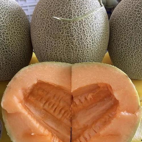 哈密瓜价格今日价安徽,市场行情一览”