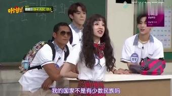 韩国综艺 新疆,多元文化交融下的魅力之旅