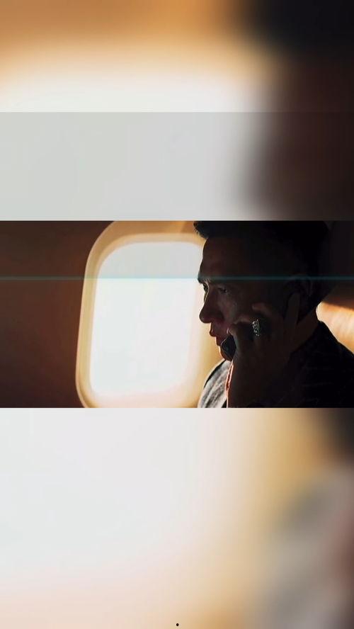 真假卧底在线观看,揭秘卧底风云，在线观看探秘警界传奇