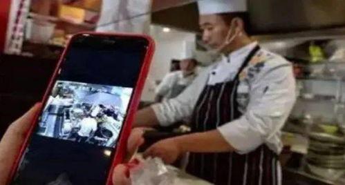 真假卧底在线观看,揭秘卧底风云，在线观看探秘警界传奇