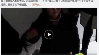 逼逼在线视频,揭秘网络直播的火爆现象与背后故事